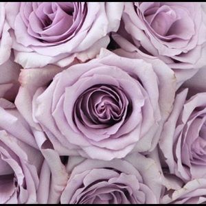 Meet your Posher, Mariam